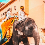 Top Hidden Forts of India | History Books Don't Talk About 3 Hidden Forts of India That History Books Don't Talk About